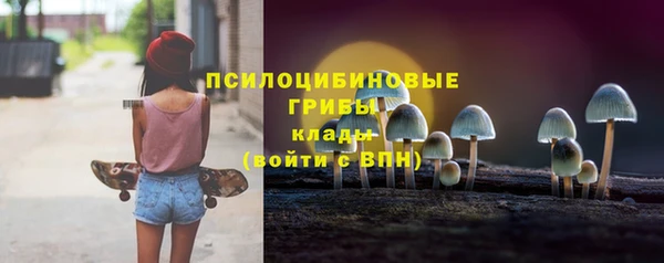 не бодяженный Арсеньев