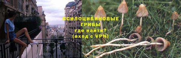 прущие крисы Баксан