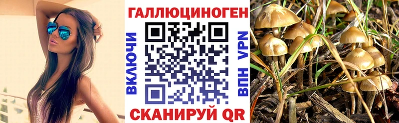 дарк нет формула Валдай мега ССЫЛКА Псилоцибиновые грибы Psilocybe наркотики